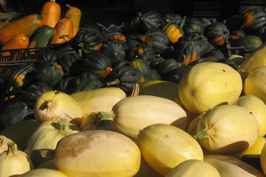squash