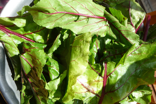 Beet greens