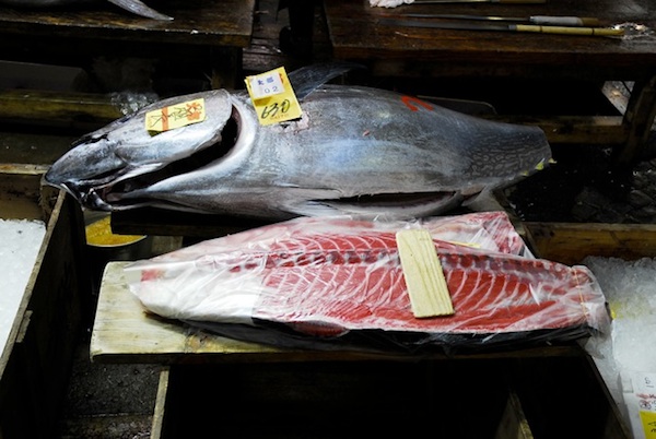 Bluefin Tuna sold for $175,000 at Tokyo fish market. By Jake Tilson.
