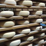 Cheeses age in the cellar at Formatgeria Mas d'Eroles. Photo from zester contributor @suestyle27
