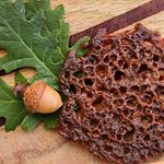 A new #foraging season!! Turn #foraged #acorns into delicious nut cookies zesterdaily.com