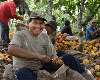 Organic cacao grower Eusebio Laron Torres 