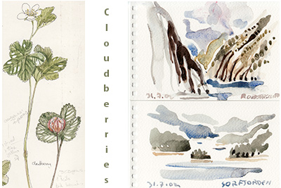Cloudberries and Fjord watercolors by Elisabeth Luard