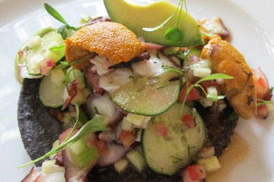 Octopus and Sea Urchin Ceviche, Maximo Bistro. Credit: Nicholas Gilman
