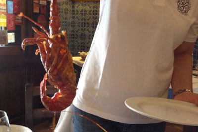 A Mediterranean lobster Chef Pino Maggiore uses in his Zuppa di Aragosta. Credit: Nancy Harmon Jenkins