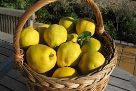Basket Of Quince