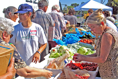 Fresh produce is handed out at a community pantry. Credit: Peter Clarke