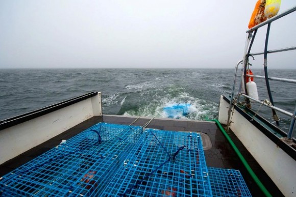 northeastern fishing