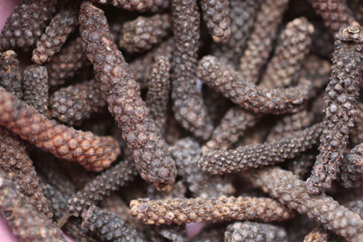 Long pepper. Credit: Sarah Khan