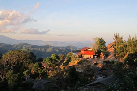 coffee growing in Maejantai, Thailand