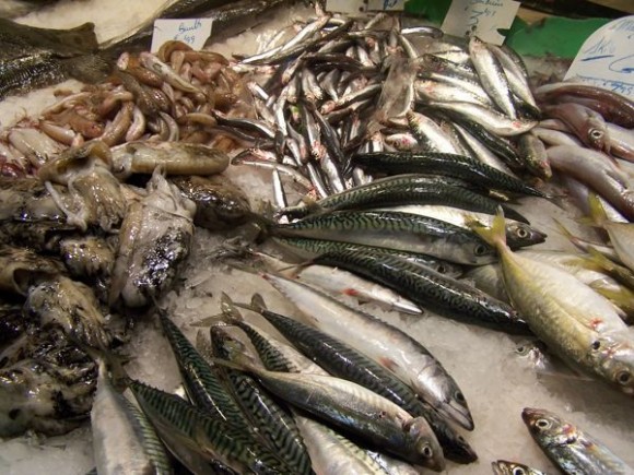 seafood display