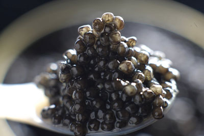 From A Fish Farm High In The Alps Comes Swiss Caviar Image