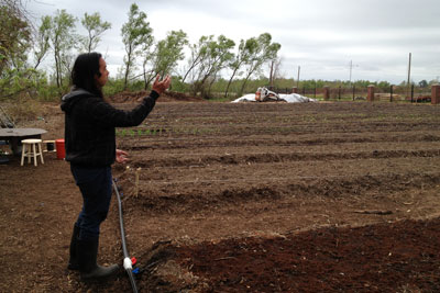 VEGGI Farmers' Cooperative founder Daniel Nguyen in fields at the farm. Credit: Sara Franklin