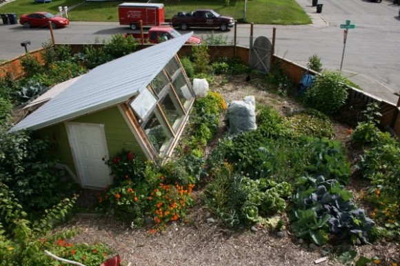 Alaskan Challenge home garden of Saskia Esslinger and Matt Oster. Credit: Saskia Esslinger