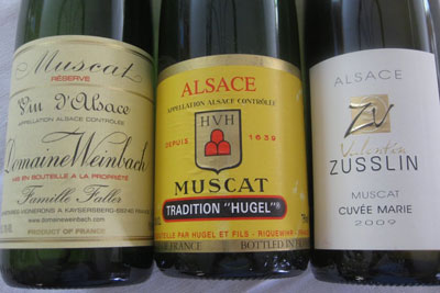 Muscat Grapes: Temperamental Teen Earns Alsace Embrace Image
