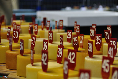 Fifty-three Idiazabal cheeses -- some smoked, others not -- were entered in the competition. Credit: Iñaki Hidalgo, Ayuntamiento de Ordizia