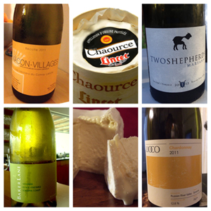 White wines and cheeses