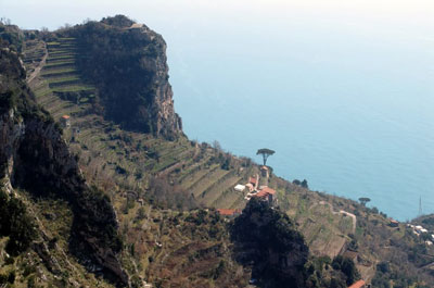 An overview of the Marisa Cuomo winery. Credit: Cantine Marisa Cuomo