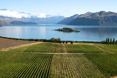 Rippon Vineyards in New Zealand