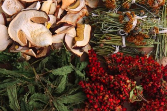 Dried foraged foods from the pantry. Clockwise, from the upper left and moving clockwise: porcini mushrooms, cota tea (sometimes called Navajo tea) bundles, sumac, and nettles. Credit: Wendy Petty