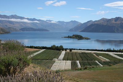 Rippon Vineyards. Credit: Briar Hardy-Hesson
