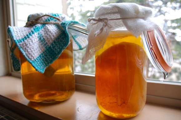 Homemade kombucha in process. The SCOBY is floating in the jar. Credit: Hayley Fager