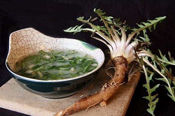 Dandelion miso soup. Credit: Wendy Petty
