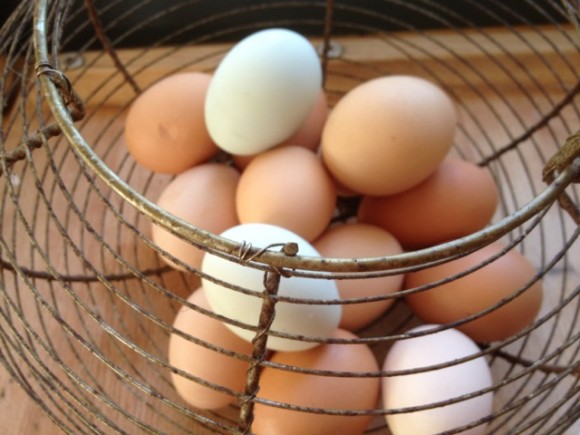 Eggs in a basket. Credit: Nancy Harmon Jenkins