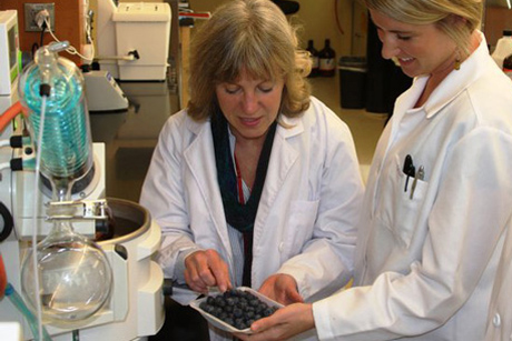 Mary Ann Lila, with colleague Sally Gustafson at North Carolina State University’s Plants for Human Health Institute. Credit: Courtesy of the N.C. State University Plants for Human Health Institute