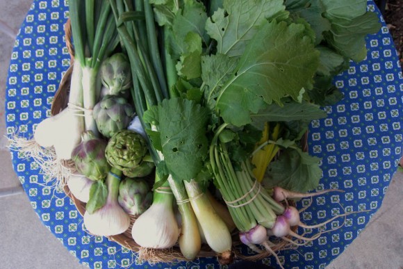 Prebiotic stars among spring vegetables. Credit: Martha Rose Shulman