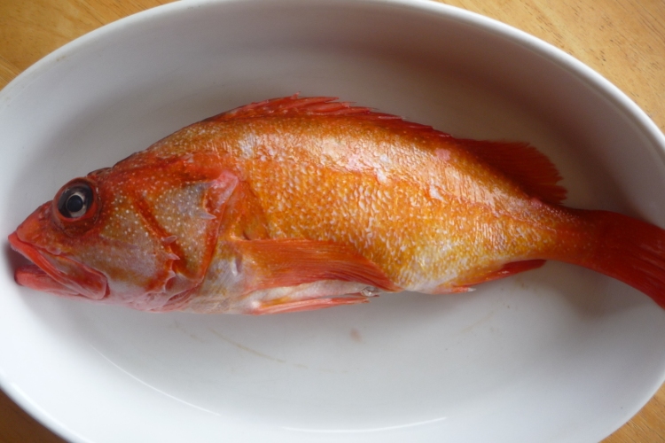 The Challenge Of Finding Really Fresh Fish Image