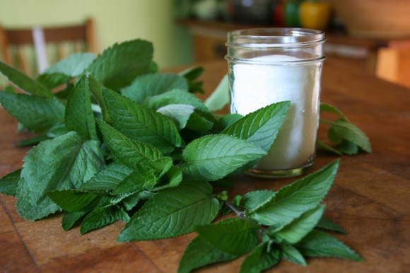 mint soda