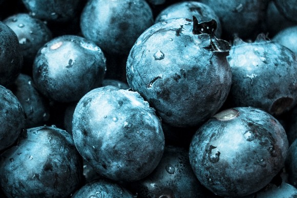 Why stop at superfoods like blueberries when you can discover new ones? Credit: Nolan Hester Why stop at superfoods like blueberries when you can discover new ones? Credit: Nolan Hester