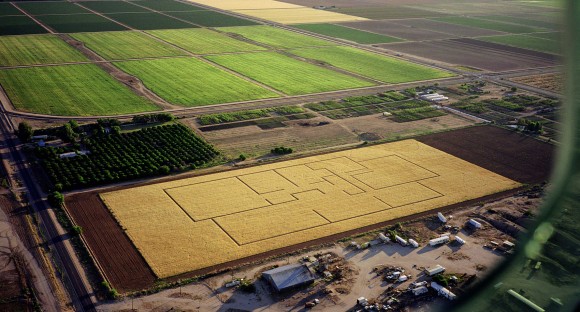 Matthew Moore's floor plan embedded in wheat. Credit: Matthew Moore
