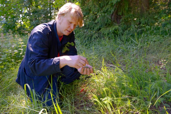 Finnish chef Sami Tallberg is on a mission to make foraging part of the national way of life once more. Credit: Martin Thompson