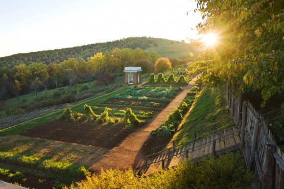 A garden at Monticello. Credit: ©Thomas Jefferson Foundation at Monticello, photograph by Robert Llewellyn