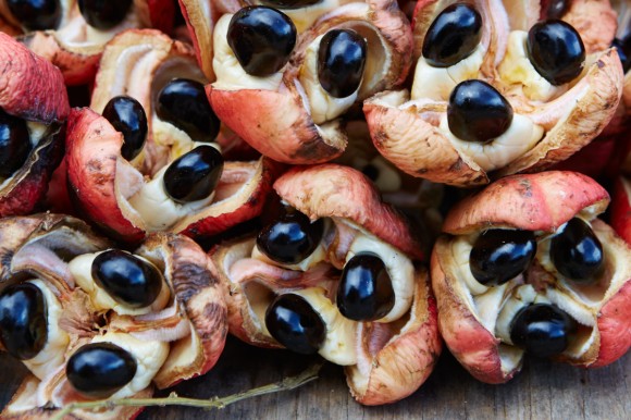 The ackee fruit's nutty taste combines with sharp salt cod to create Jamaica’s national dish. Credit: © 2014 by Ellen Silverman from 