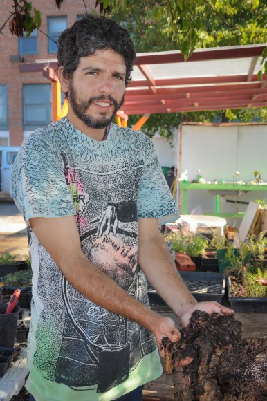 In Oakland Calif., “soil farmers” like Max Cadji hope to transform dirt tainted by decades of pollution. Credit: Louis Fox