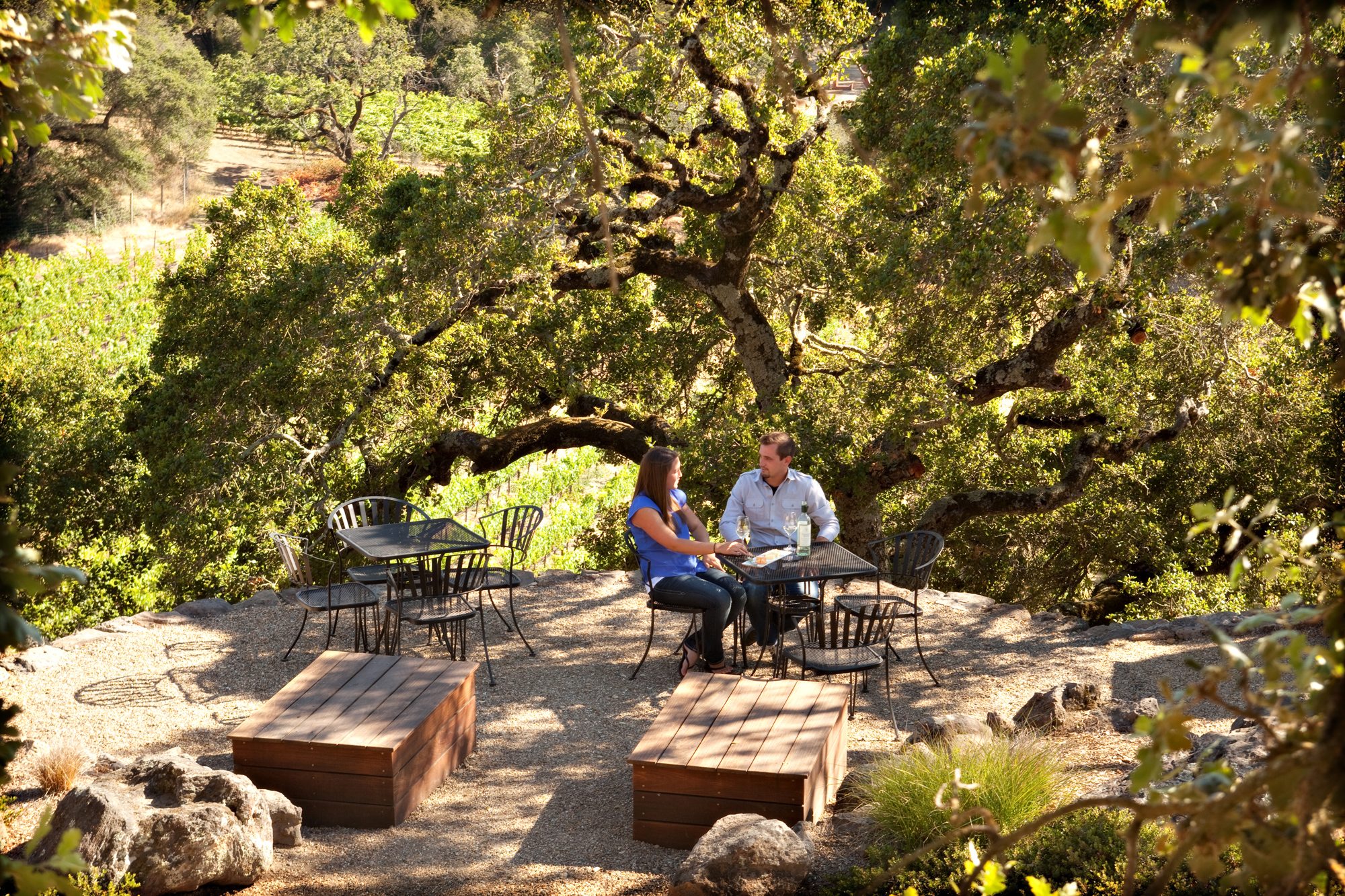 Paradise Ridge Winery Brings Art And Food To The Table Image