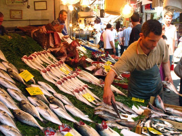 A fish market in Istanbul. Credit: Jennifer Hattam