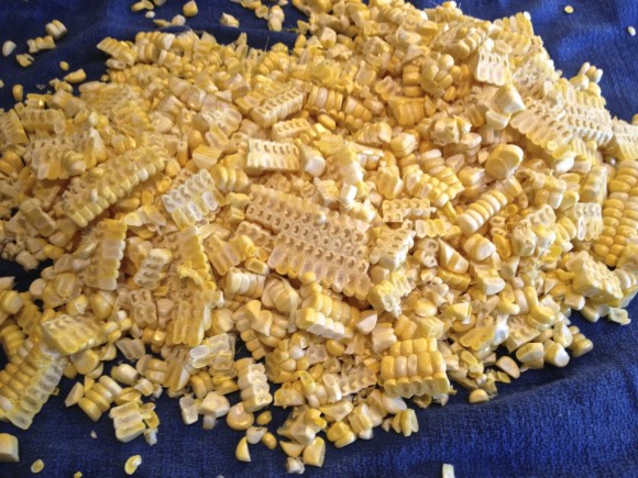 Corn kernels cut off the cob being prepared for freezing. Credit: David Latt