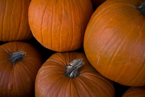 'Tis the season for pumpkins, Jack-o-Lanterns, and, of course, pumpkin pie.