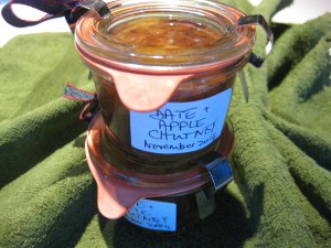 Fresh (Uncooked) Date Chutney. Credit: Sue Style