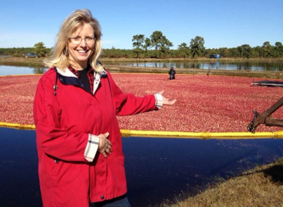 Amy Howell at cranberry harvest. Credit: Emily Bittenbender.