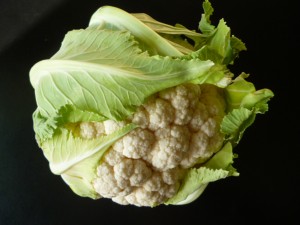 The cauliflower is actually a cabbage bred for its flowers.