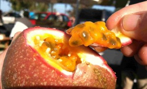 Passion fruit.
