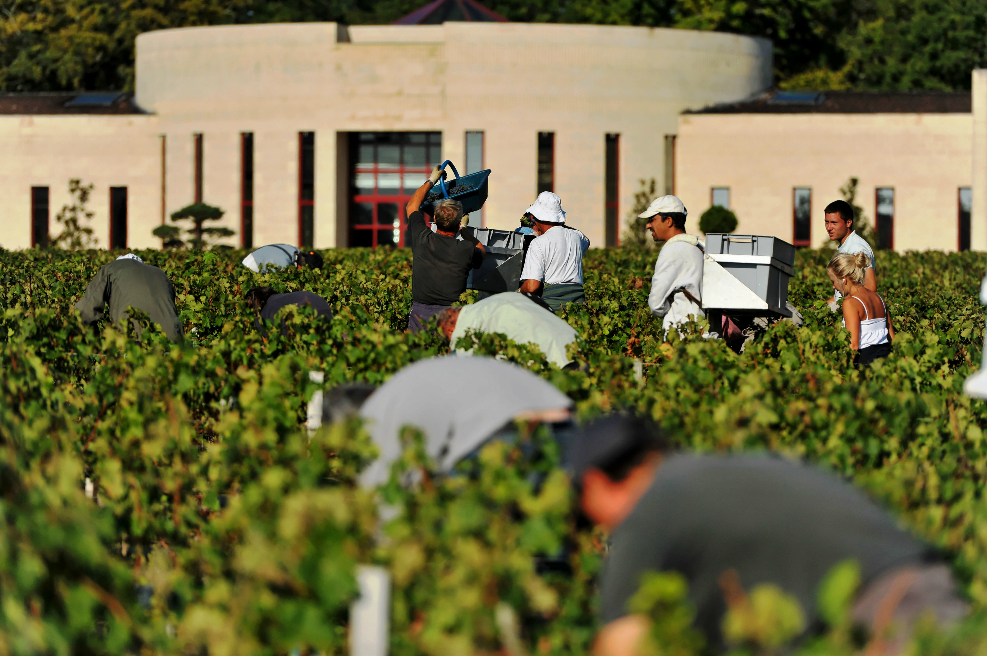 Highly Lauded 2005 Bordeaux Stands The Test Of Time Image