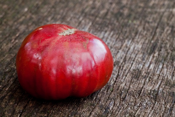 Cherokee Purple heirloom tomato, named by Craig LeHoullier, author of 