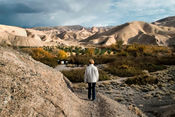 The accidental oasis that is China Ranch date farm. Credit: Copyright 2015 Seth Joel