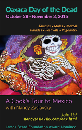 Nancy Zaslavsky Tour